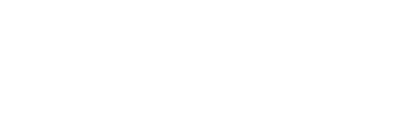 ALPfit Logo